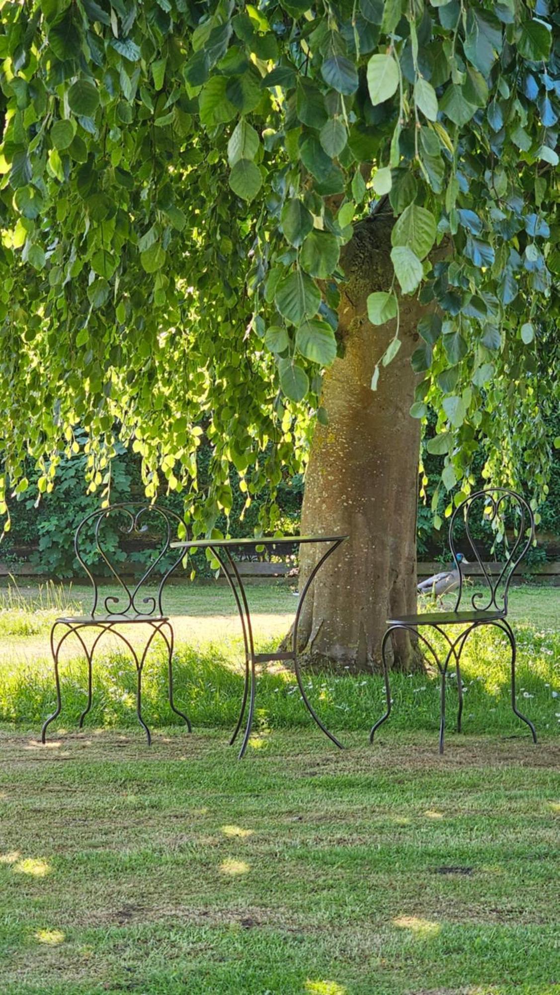 Surforama Studio Apartment Mit Meerblick Und Garten Fehmarn Exteriör bild